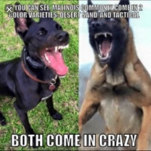 Meet your Posher, Kristina